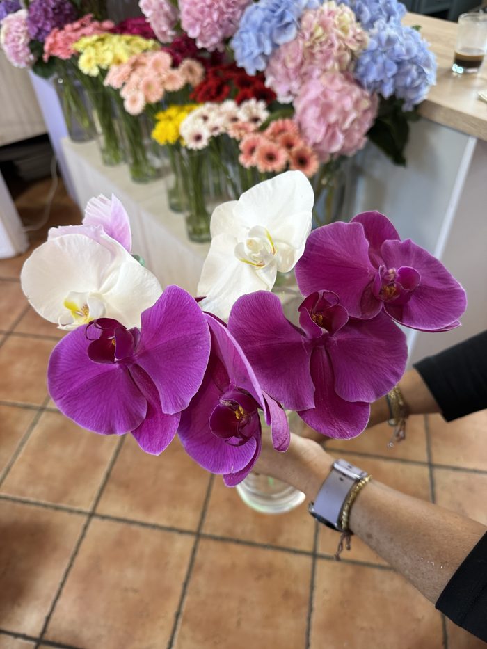 Storczyki phalaenopsis w dłoni florystki